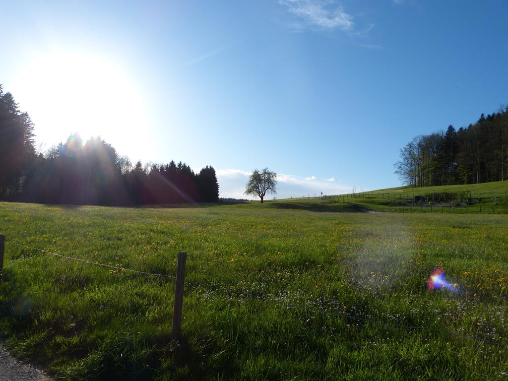 Landgasthof Santisblick Hotel Abtwil Luaran gambar